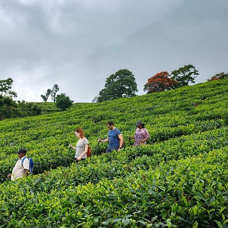Amber Dale Luxury Hotel & Spa, Munnar Bagian luar foto