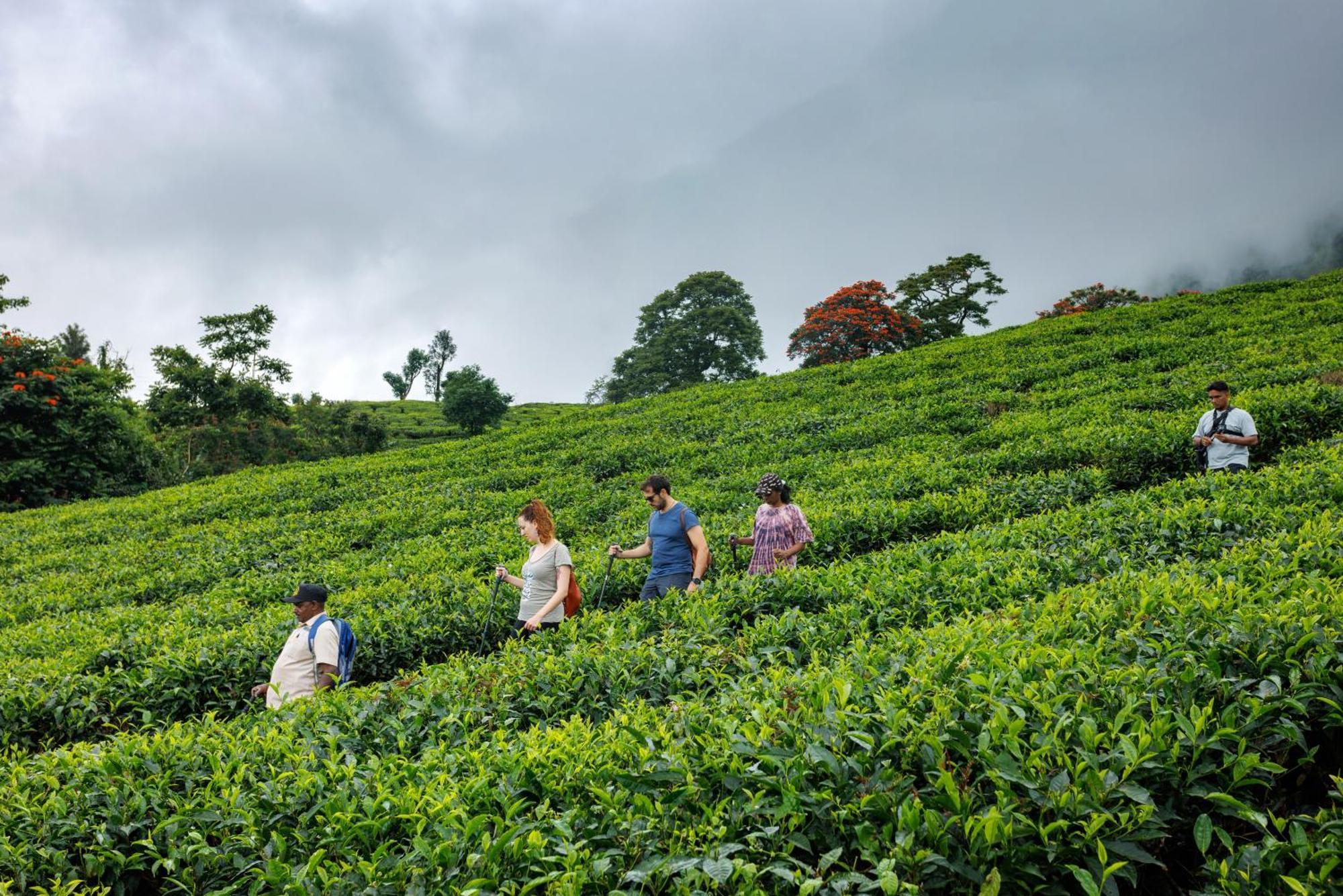 Amber Dale Luxury Hotel & Spa, Munnar Bagian luar foto