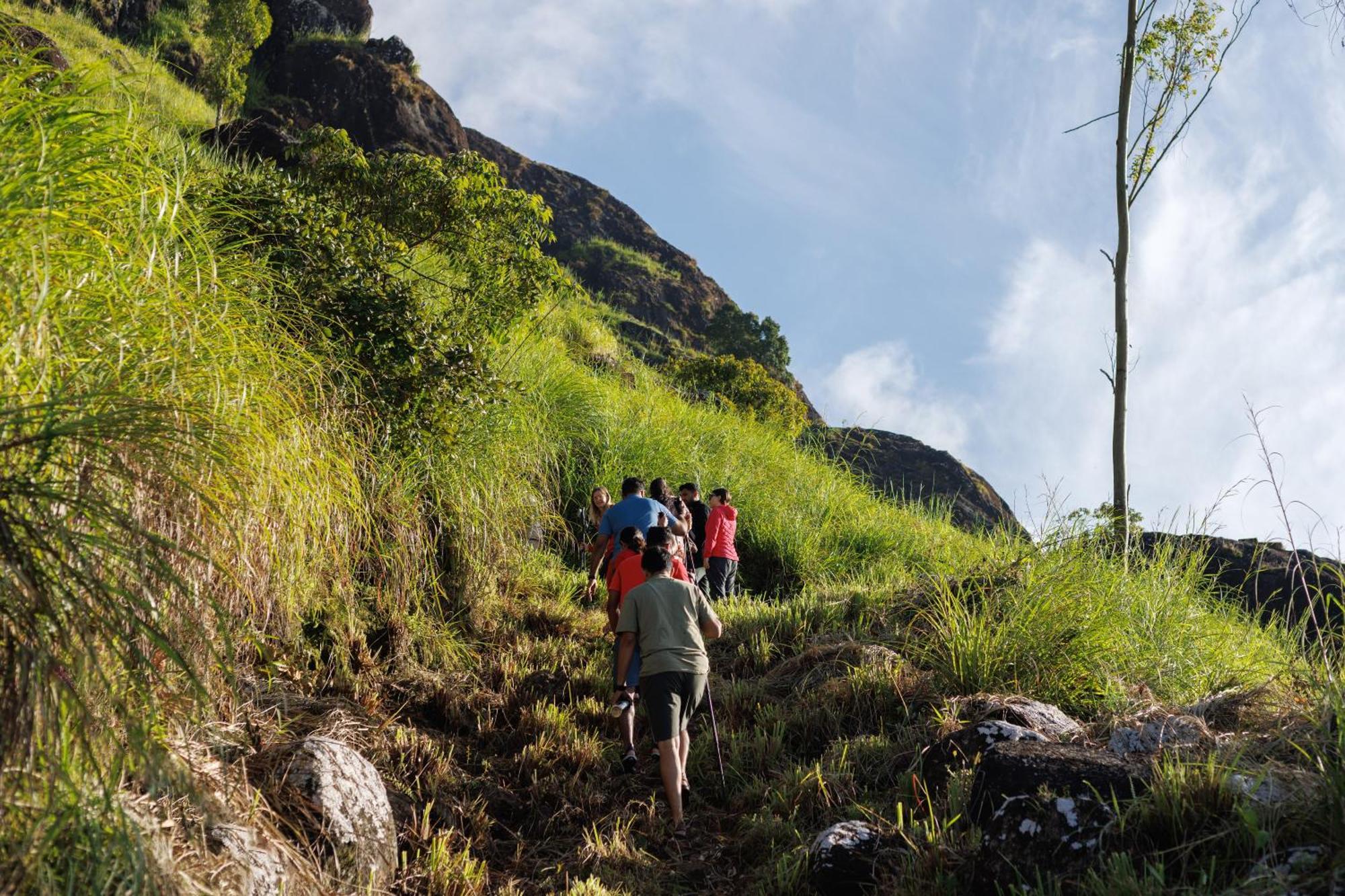 Amber Dale Luxury Hotel & Spa, Munnar Bagian luar foto