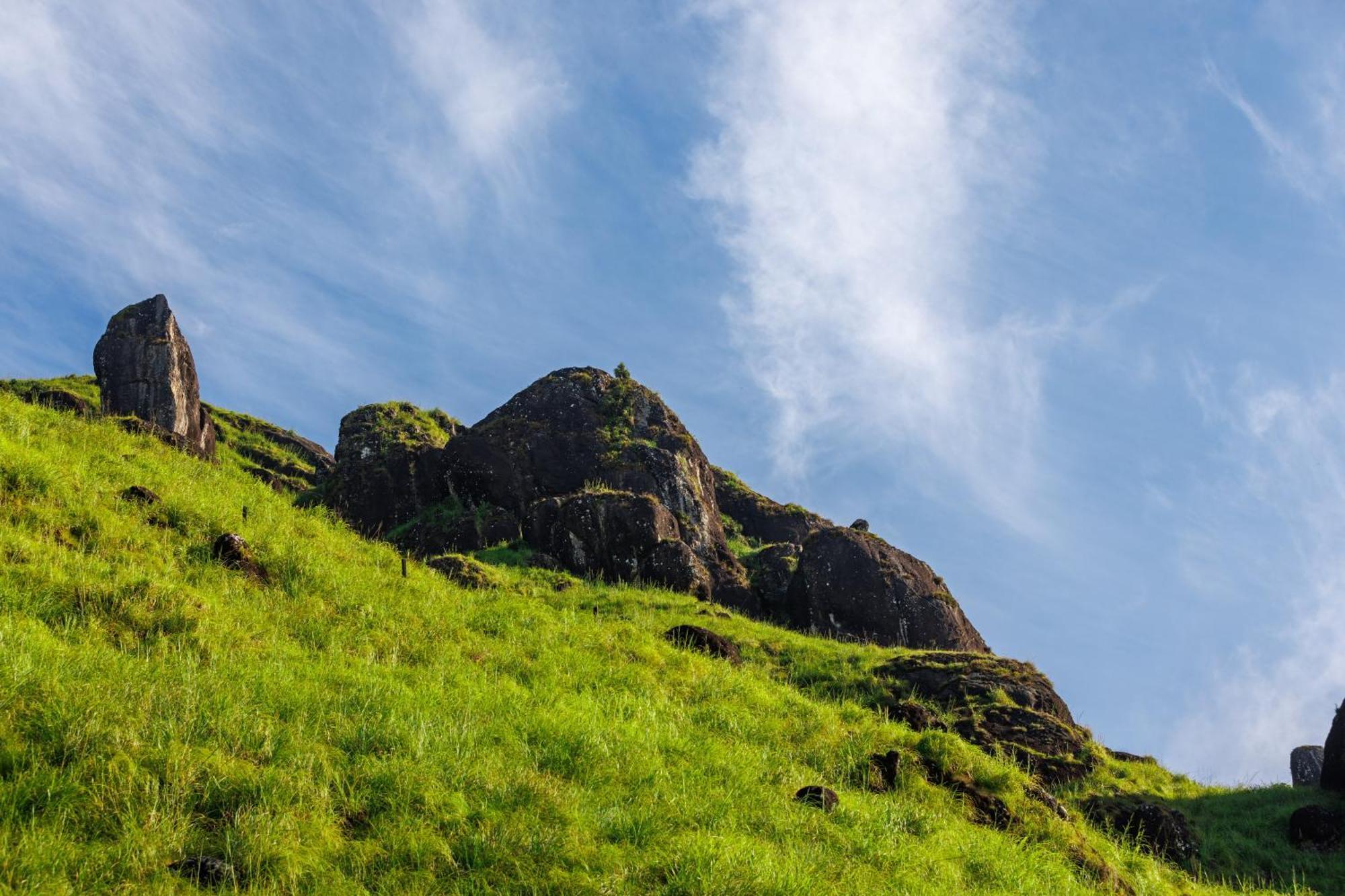 Amber Dale Luxury Hotel & Spa, Munnar Bagian luar foto