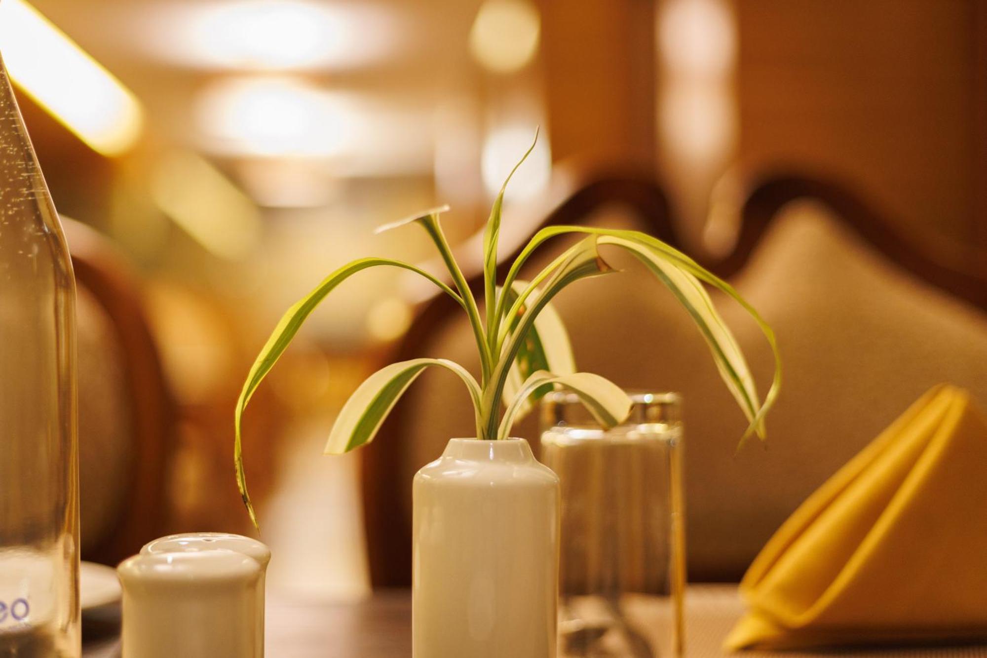Amber Dale Luxury Hotel & Spa, Munnar Bagian luar foto